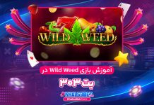 آموزش بازی Wild Weed در بت 303 آموزش بازی Wild Weed در بت 303